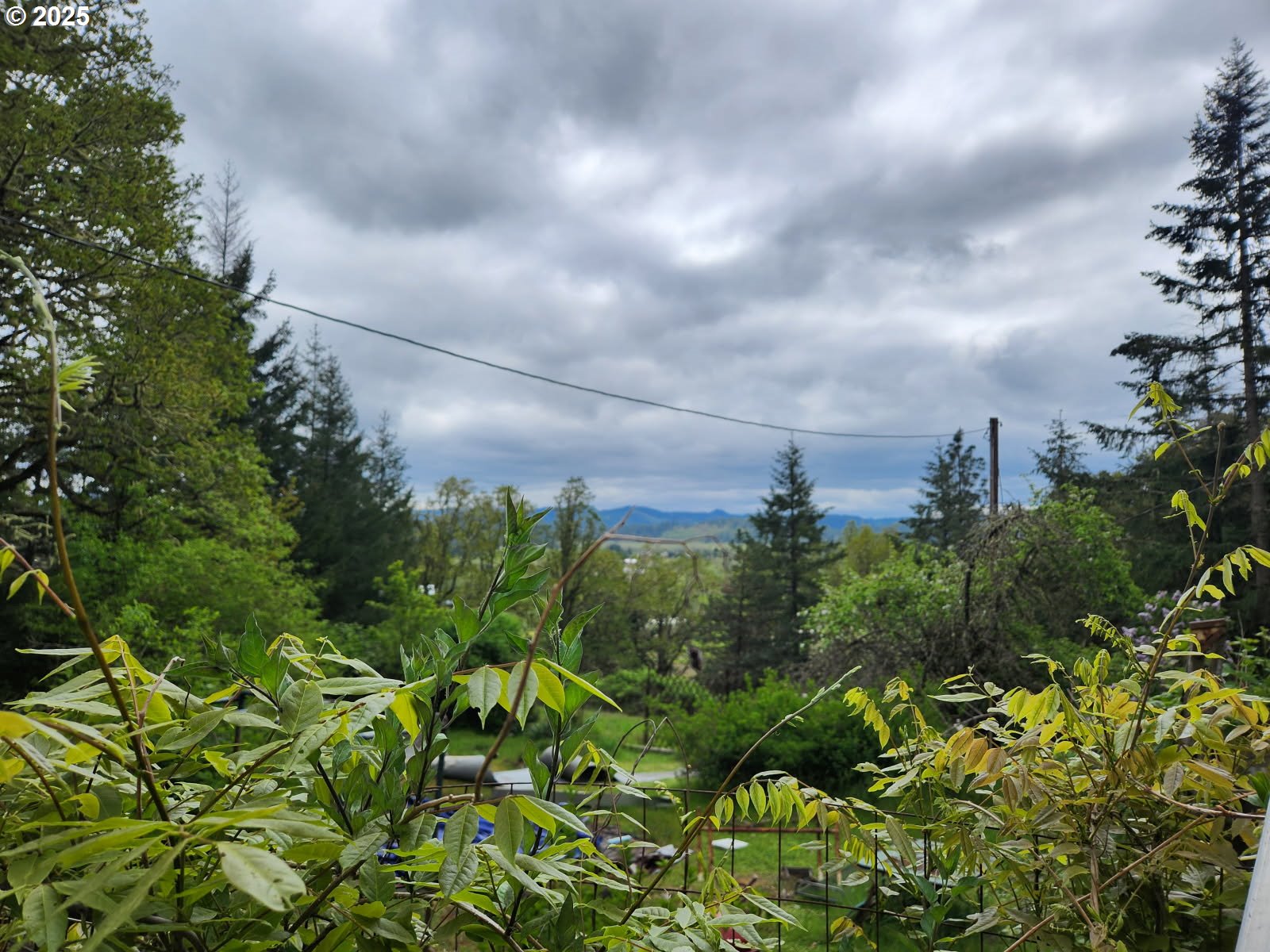 28387 Rainbow Valley Road Eugene, OR 97402 - Photo 4 of 9 a view of a city
