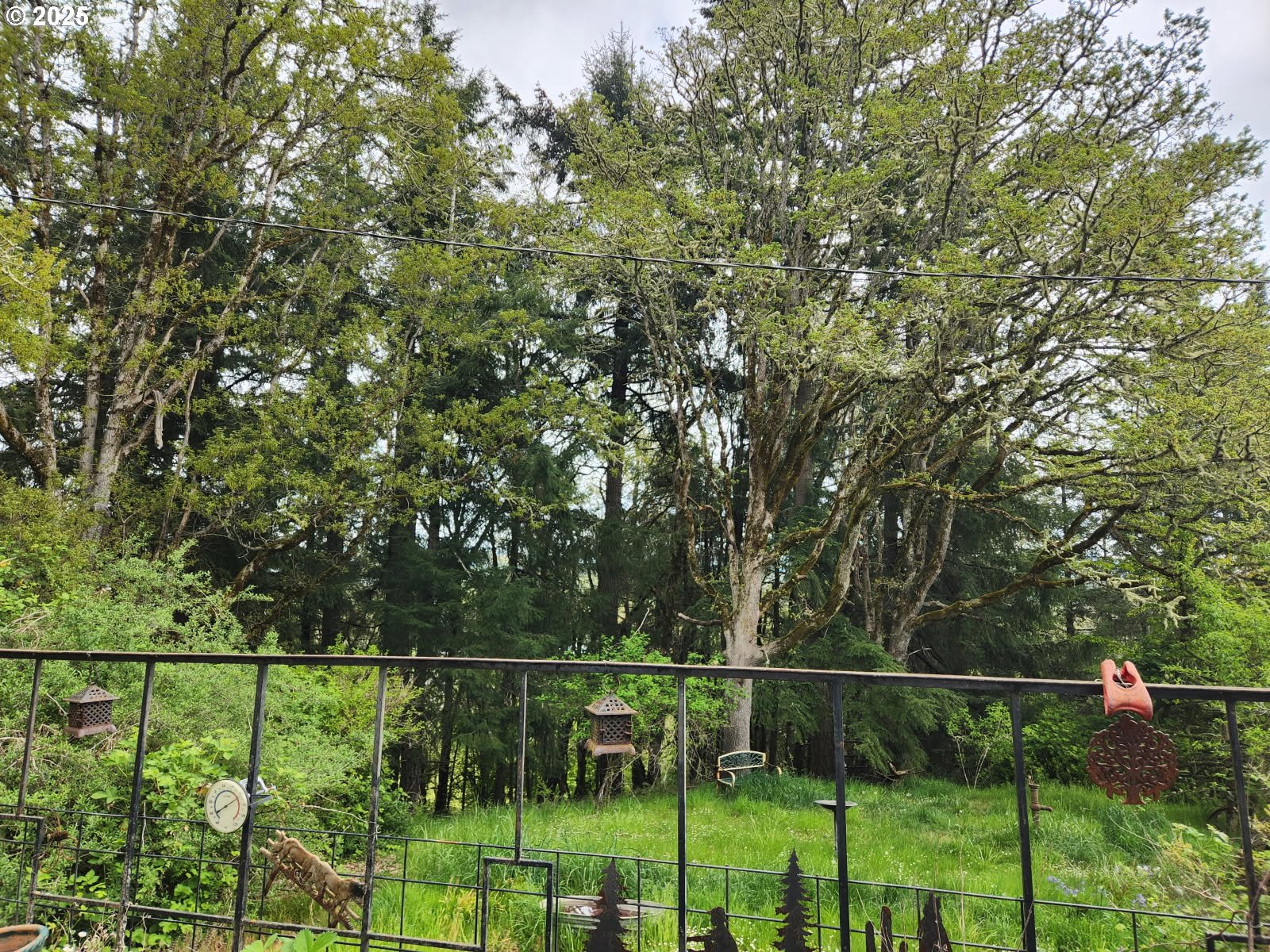 28387 Rainbow Valley Road Eugene, OR 97402 - Photo 7 of 9 a view of a yard and a fountain