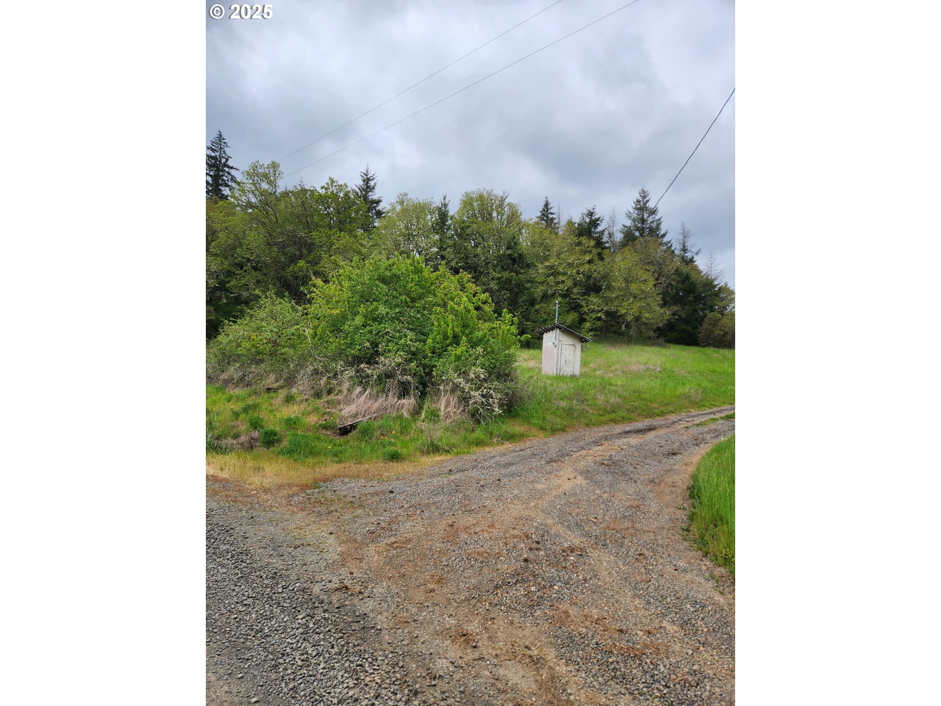 28387 Rainbow Valley Road Eugene, OR 97402 - Photo 9 of 9 a view of a yard with plants and a trees