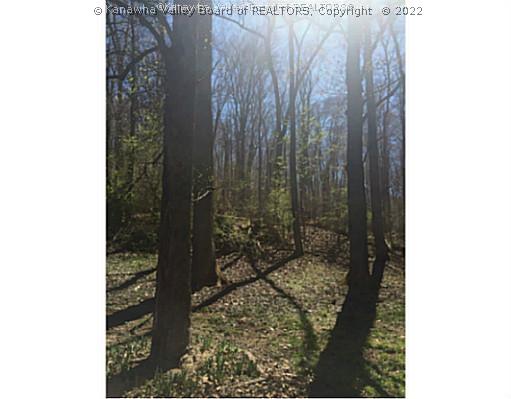 1 Indian Creek Road Elkview, WV 25071 - Photo 4 of 6 Land.