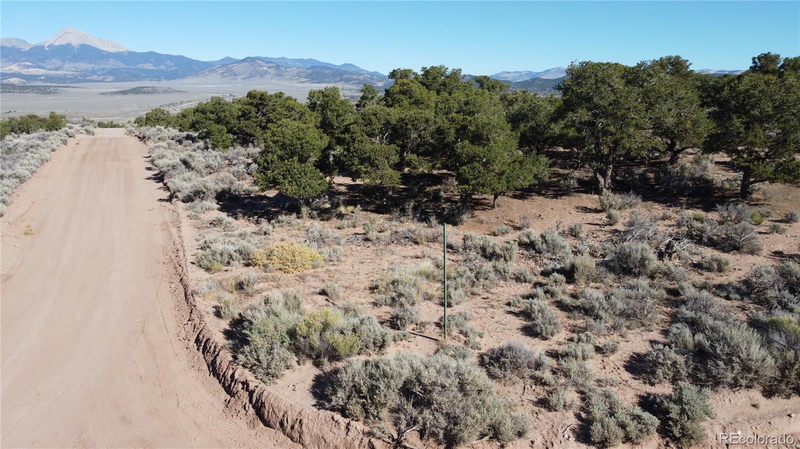 123 Mitchell Road Fort Garland, CO 81133 - Photo 13 of 40 a view of a forest with a mountain