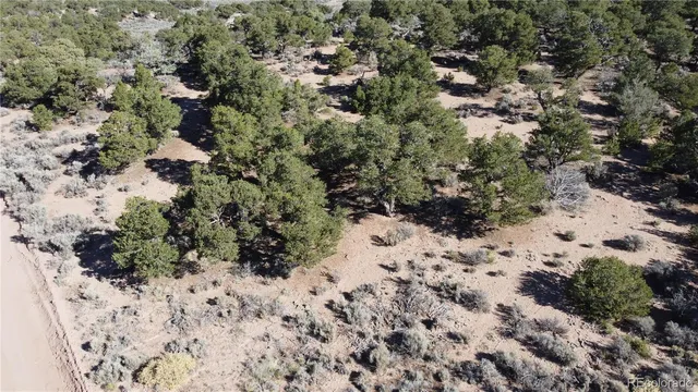 $39,900 | 123 Mitchell Road, Fort Garland, CO 81133