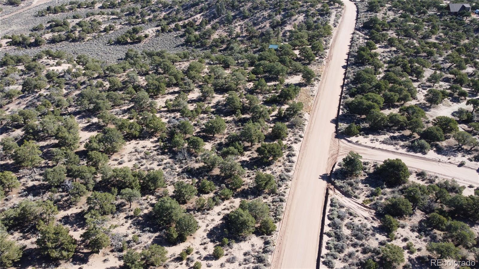 123 Mitchell Road Fort Garland, CO 81133 - Photo 20 of 40 a view of a forest with a tree