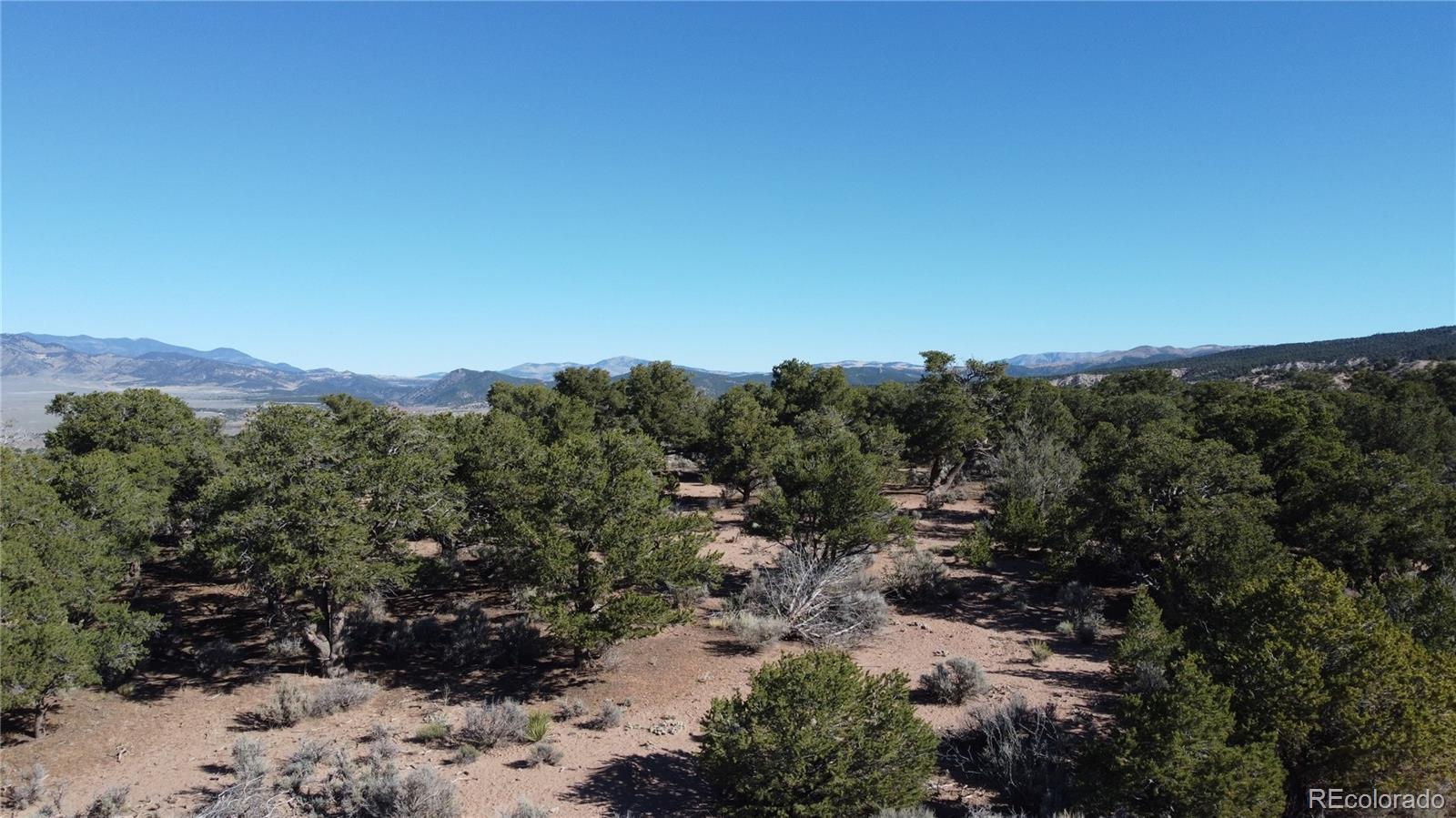 123 Mitchell Road Fort Garland, CO 81133 - Photo 2 of 40 a view of a forest with mountains in the background