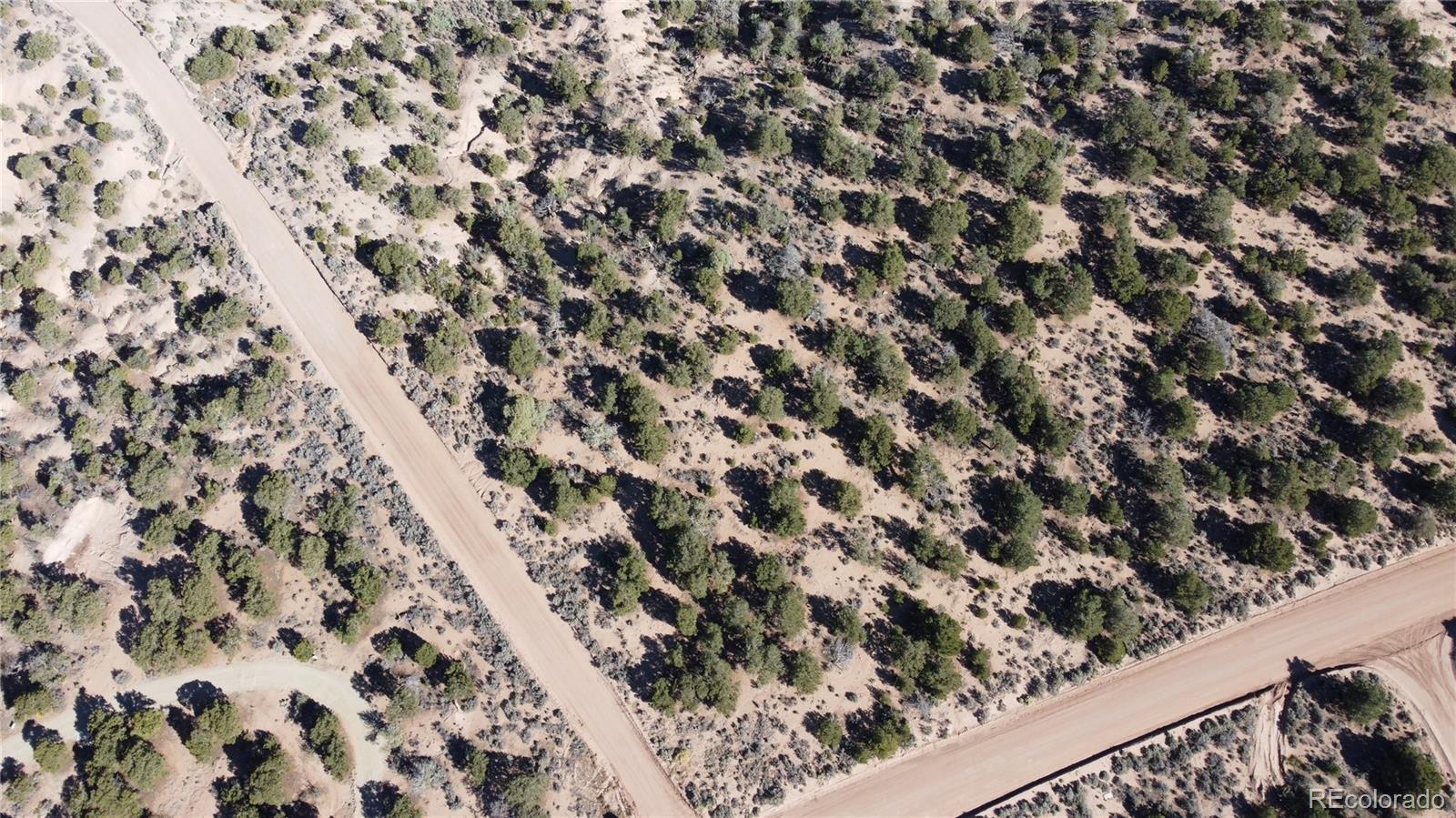 123 Mitchell Road Fort Garland, CO 81133 - Photo 26 of 40 a view of a tree