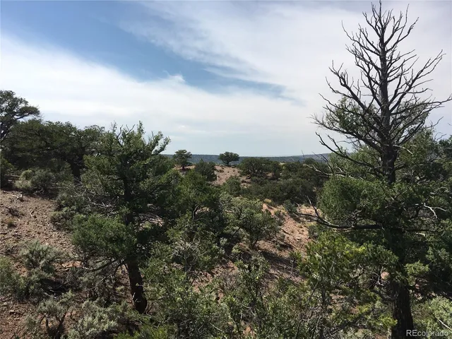 $39,900 | 123 Mitchell Road, Fort Garland, CO 81133