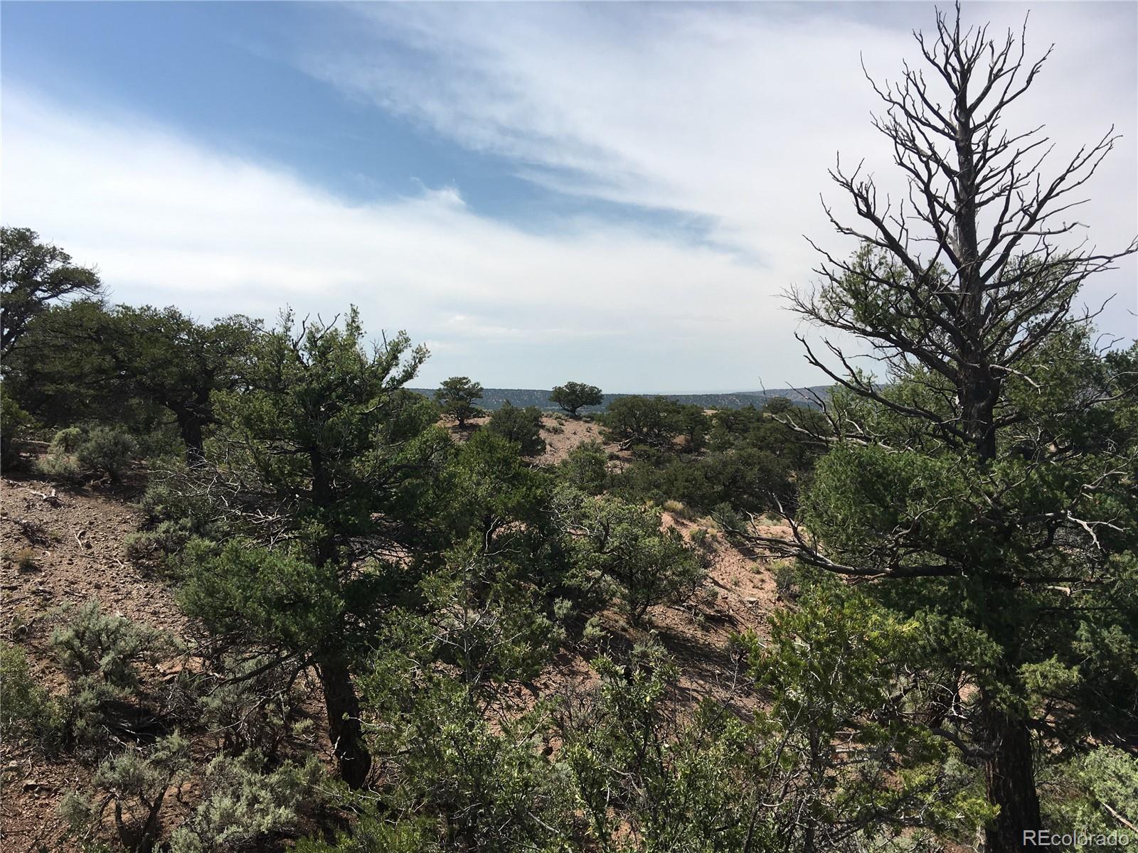 123 Mitchell Road Fort Garland, CO 81133 - Photo 39 of 40 an aerial view of multiple house