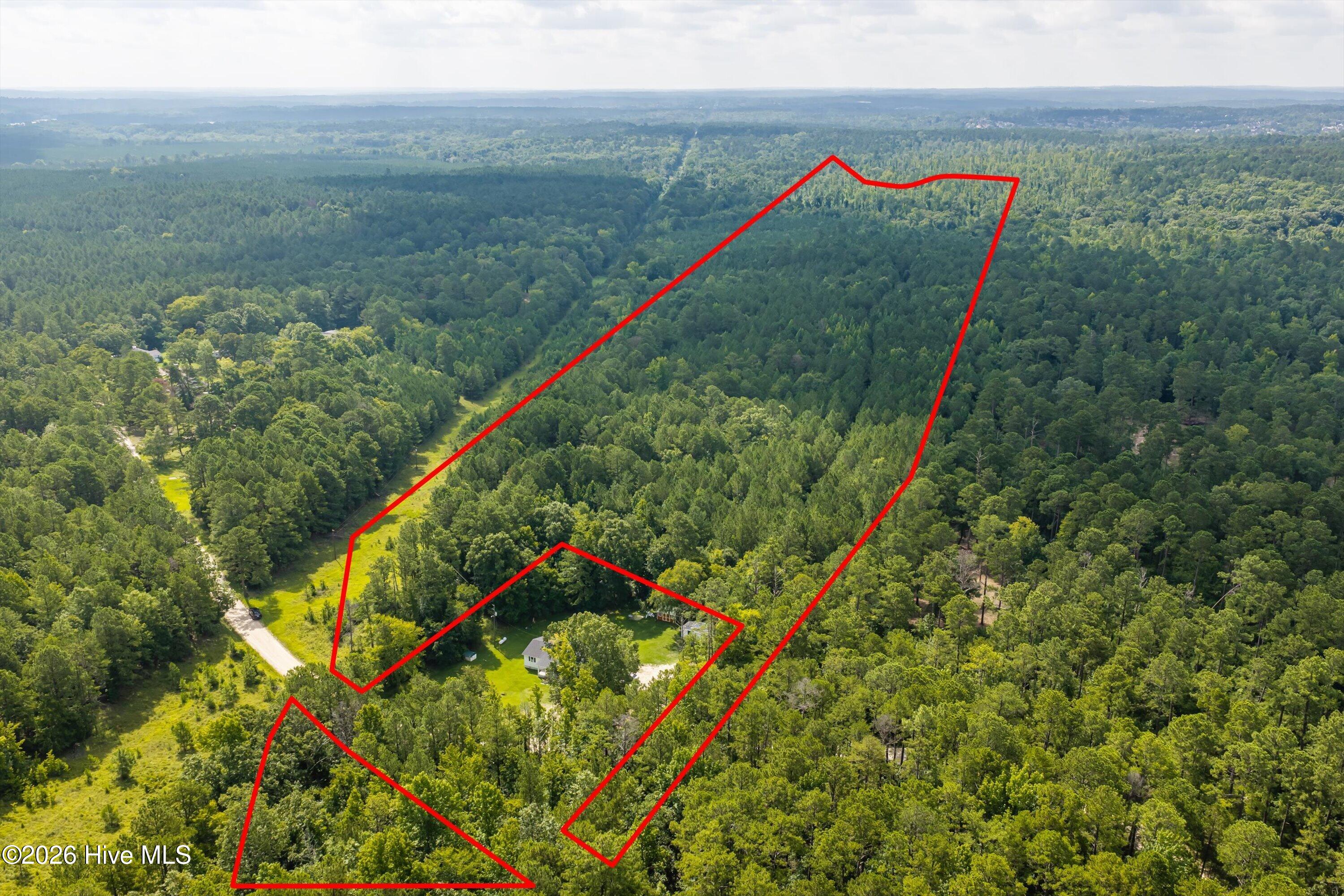 0 Burks Mountain Road Appling, GA 30802 - Photo 3 of 23 Gallery Image 3