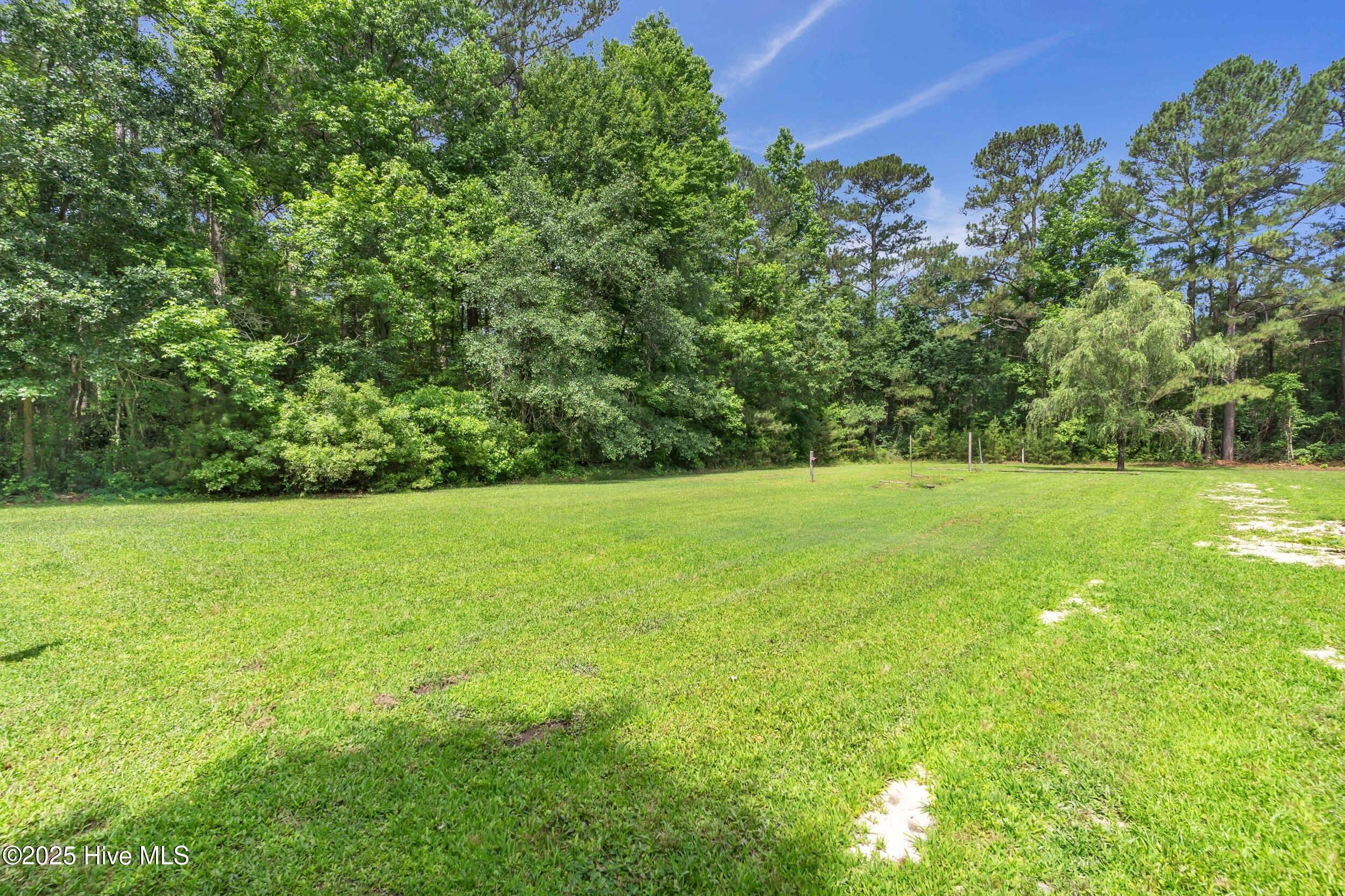 232 Old Savannah Road Burgaw, NC 28425 - Photo 42 of 54 232oldsavannahrd_00038