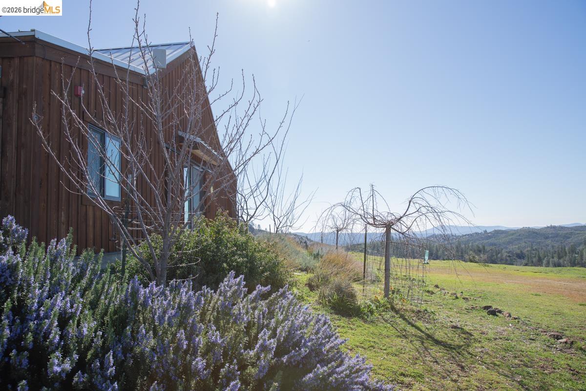6899 Eagle View Drive Mountain Ranch, CA 95246 - Photo 5 of 35 a backyard of a house with lots of green space