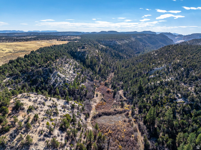 6 South N Frk Road Orderville, UT 84758 - Photo 29 of 68 Aerial view of property's location with a mountainous background
