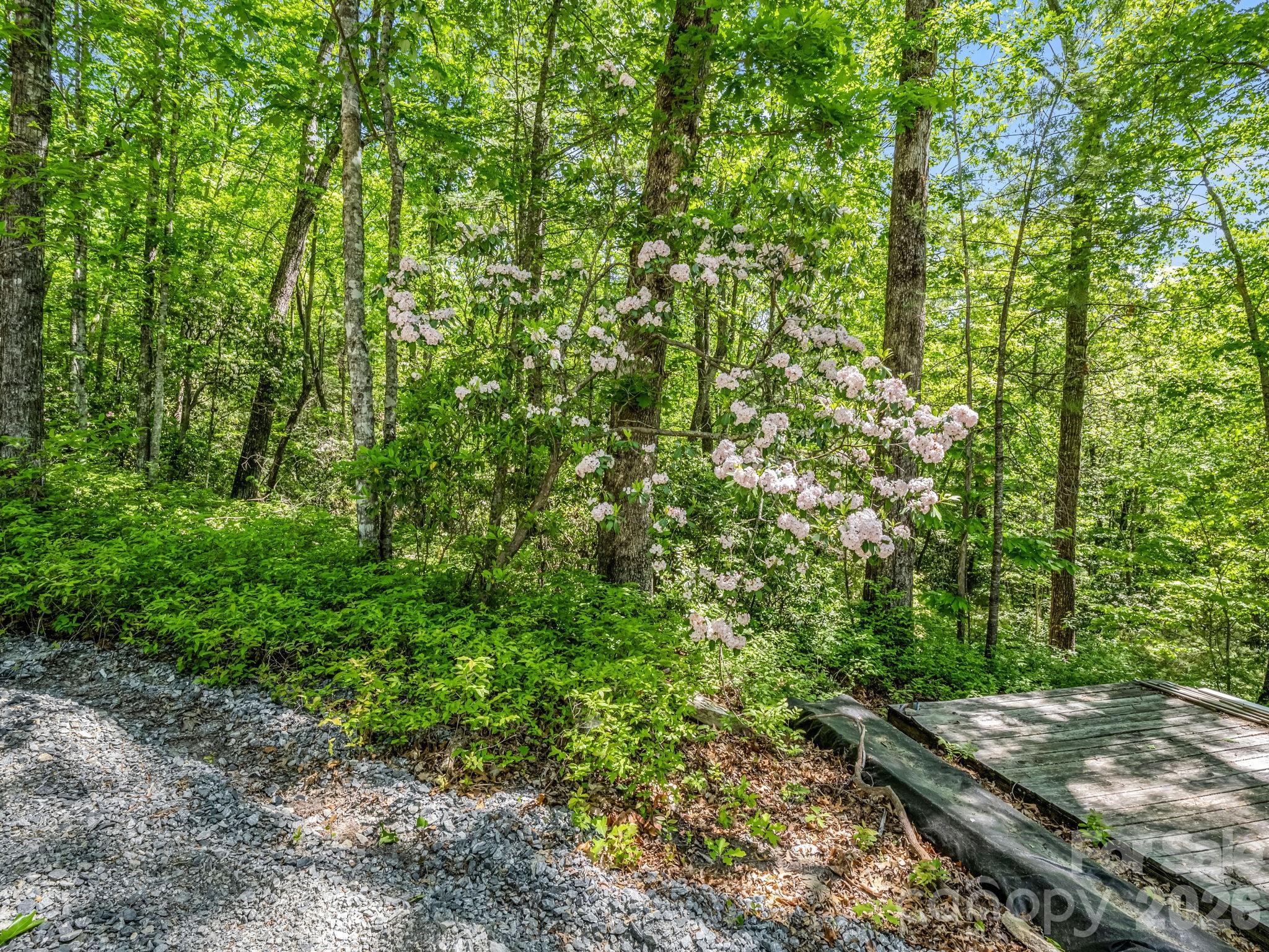 352 Big Hill Road Brevard, NC 28712 - Photo 30 of 31