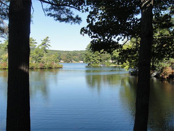 119 Little Alum Road Brimfield, MA 01010 - Photo 5 of 29 Gallery Image 5