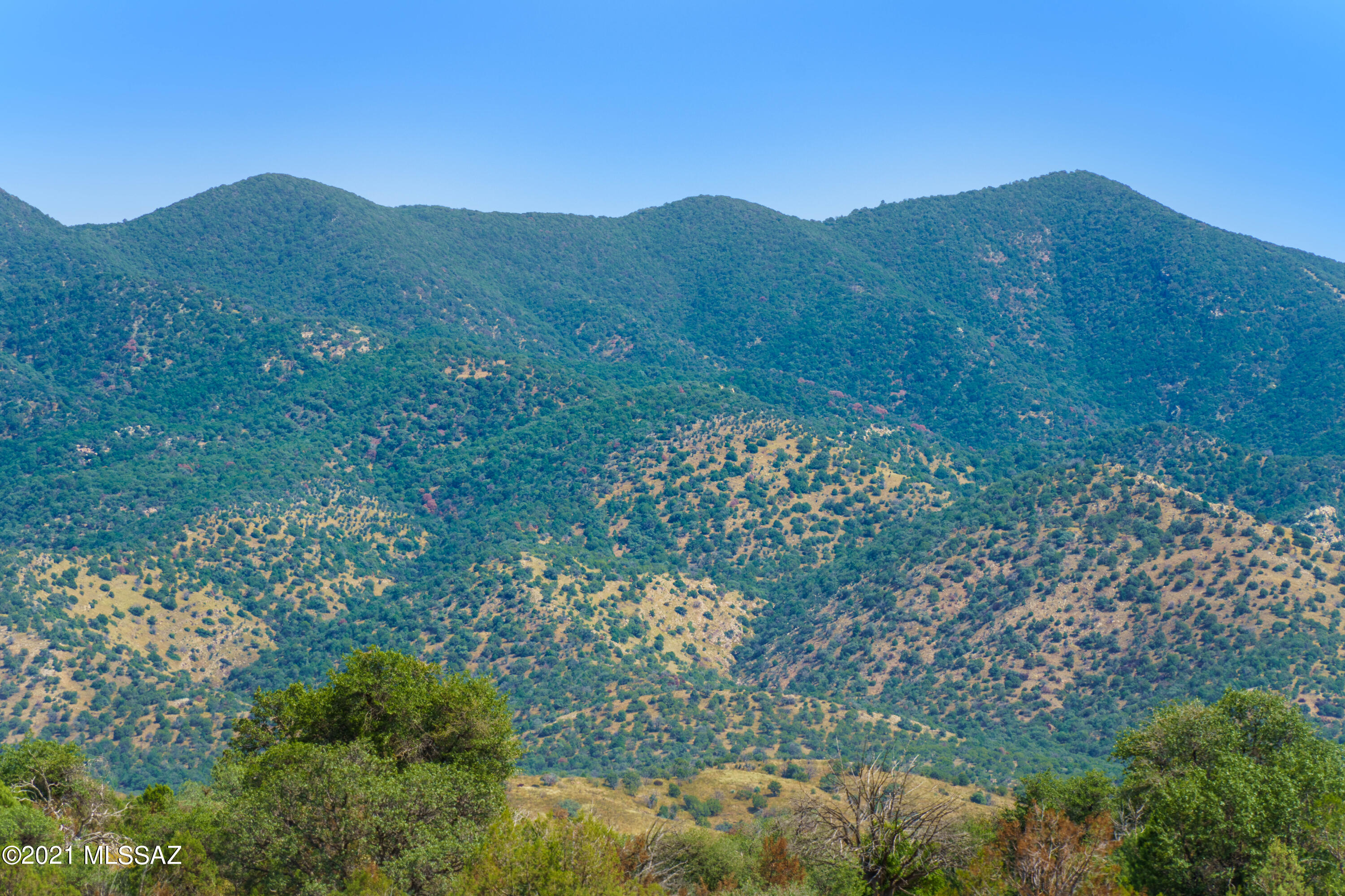 208 Lyle Canyon Road Elgin, AZ 85611 - Photo 37 of 37 Gallery Image 37