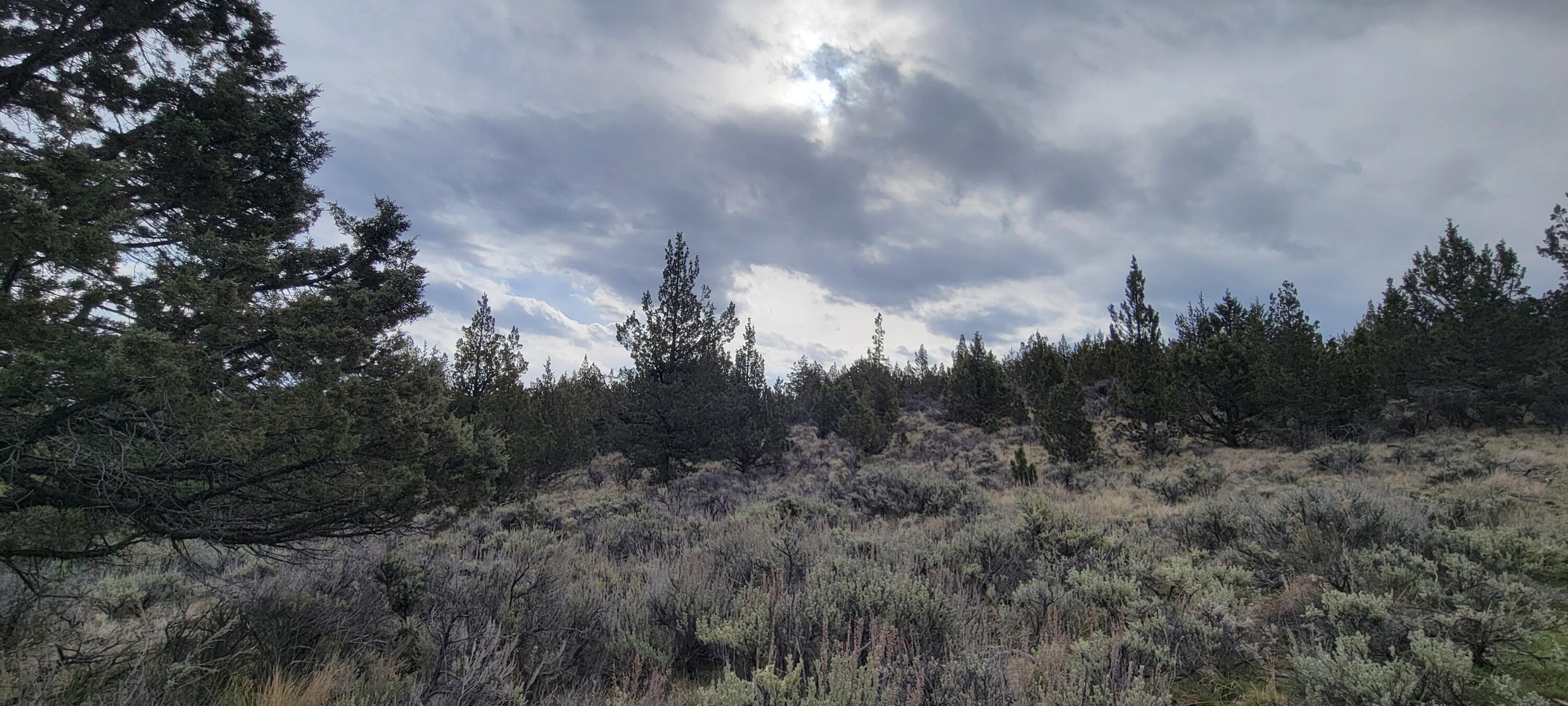 Southeast Osprey Road Prineville, OR 97754 - Photo 17 of 30 Clearings 04