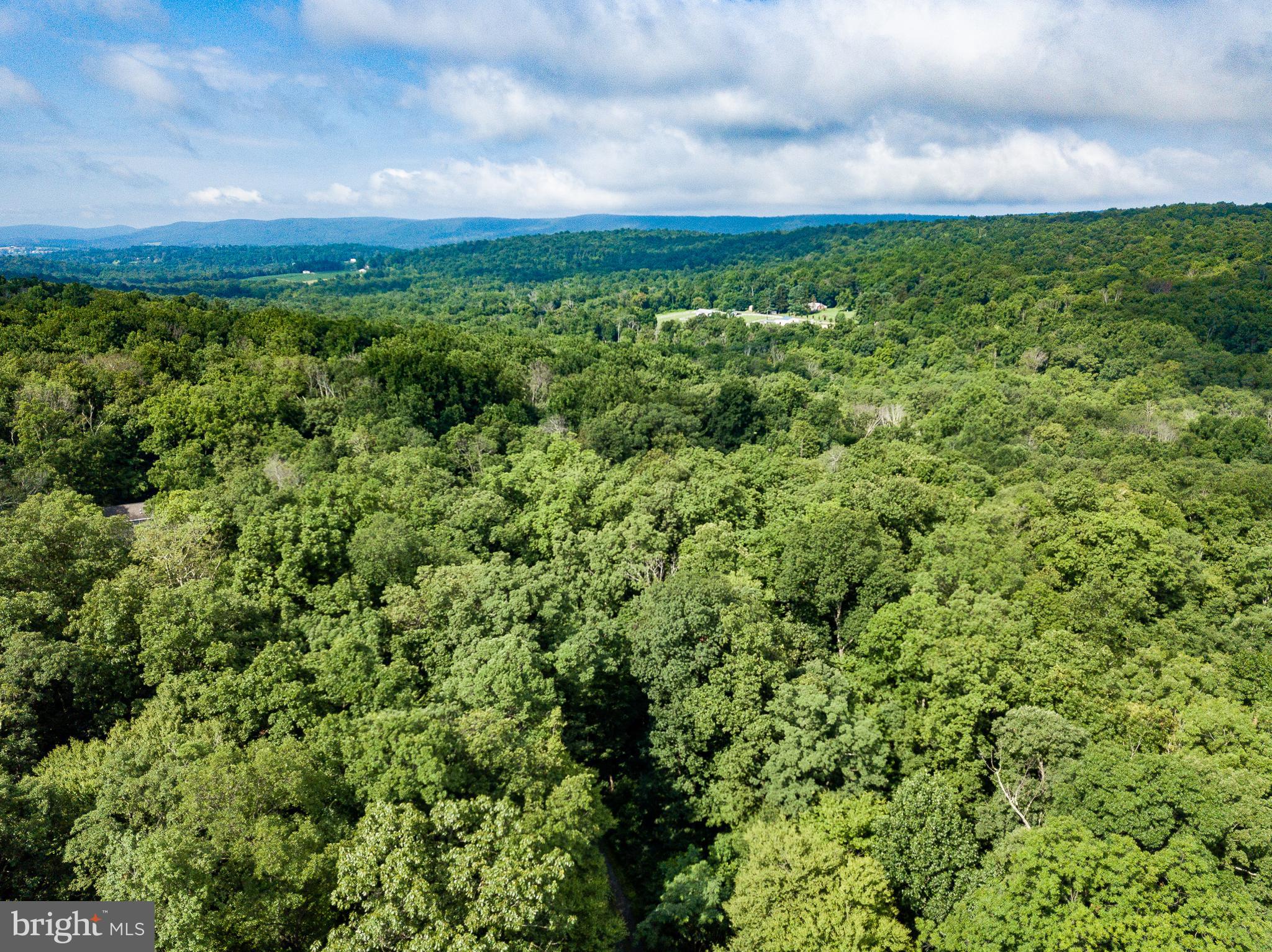 14510 Ridenour Road Smithsburg, MD 21783 - Photo 11 of 13