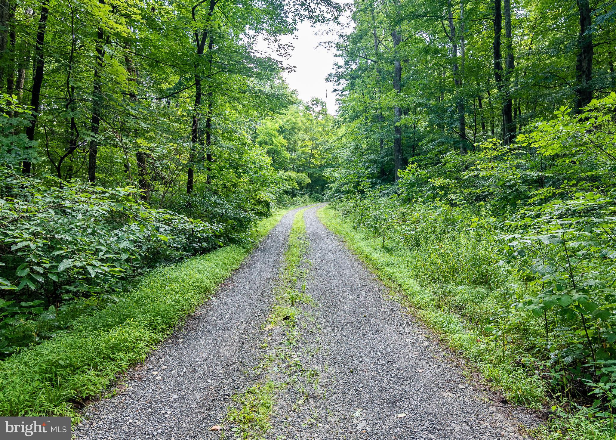 14510 Ridenour Road Smithsburg, MD 21783 - Photo 3 of 13
