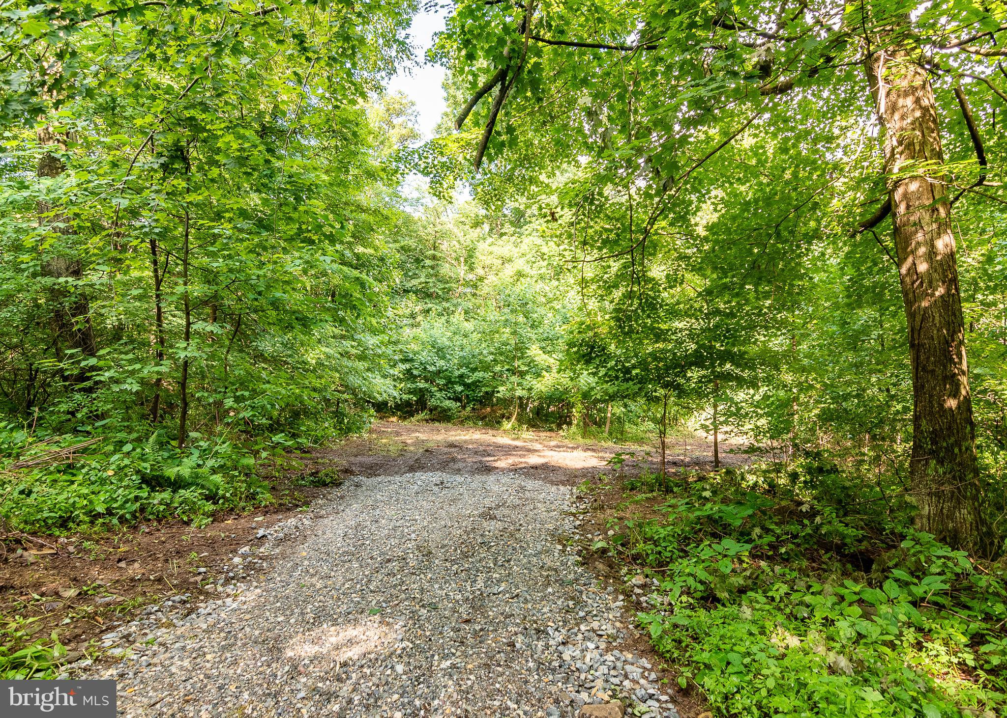 14510 Ridenour Road Smithsburg, MD 21783 - Photo 4 of 13