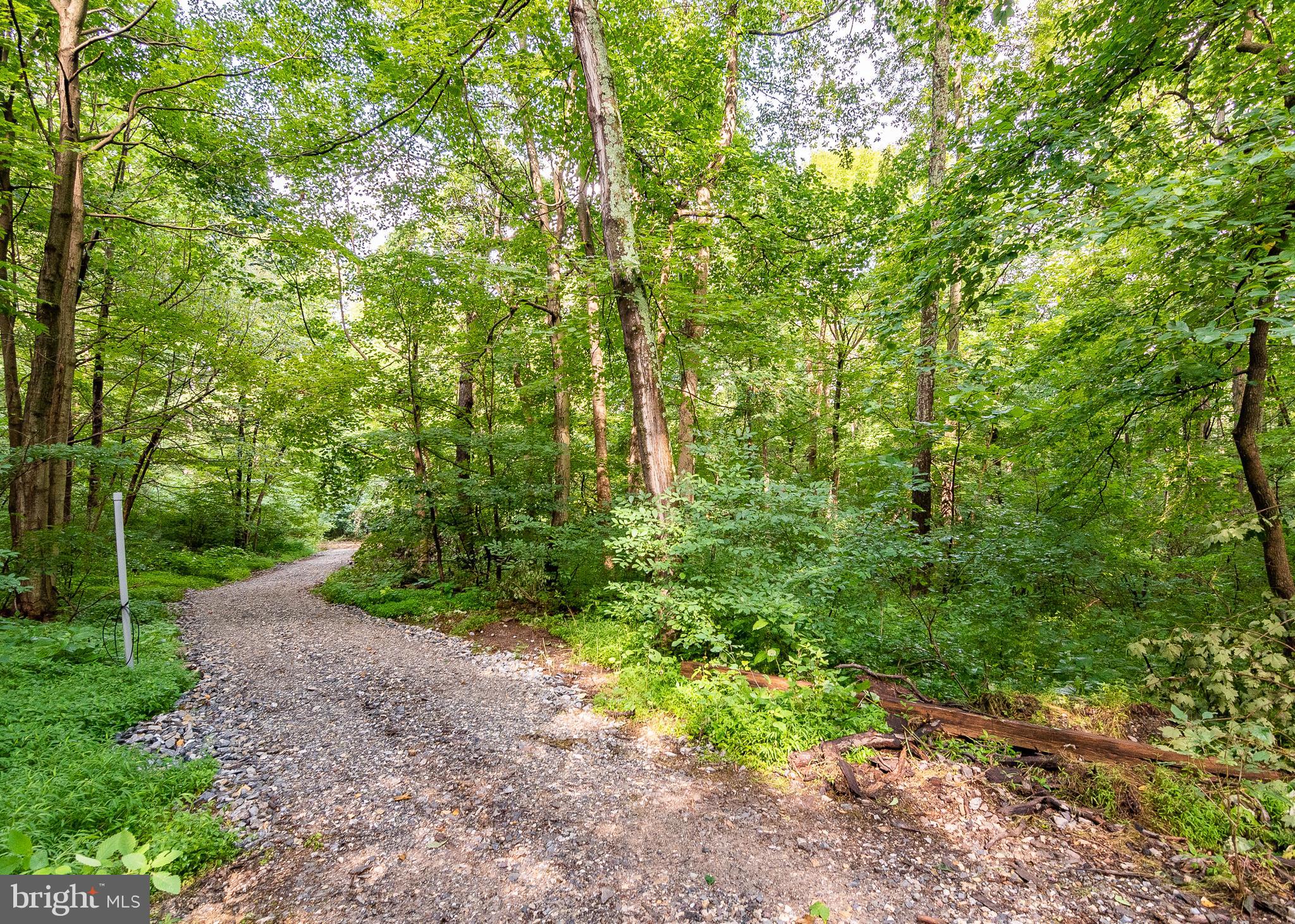 14510 Ridenour Road Smithsburg, MD 21783 - Photo 5 of 13