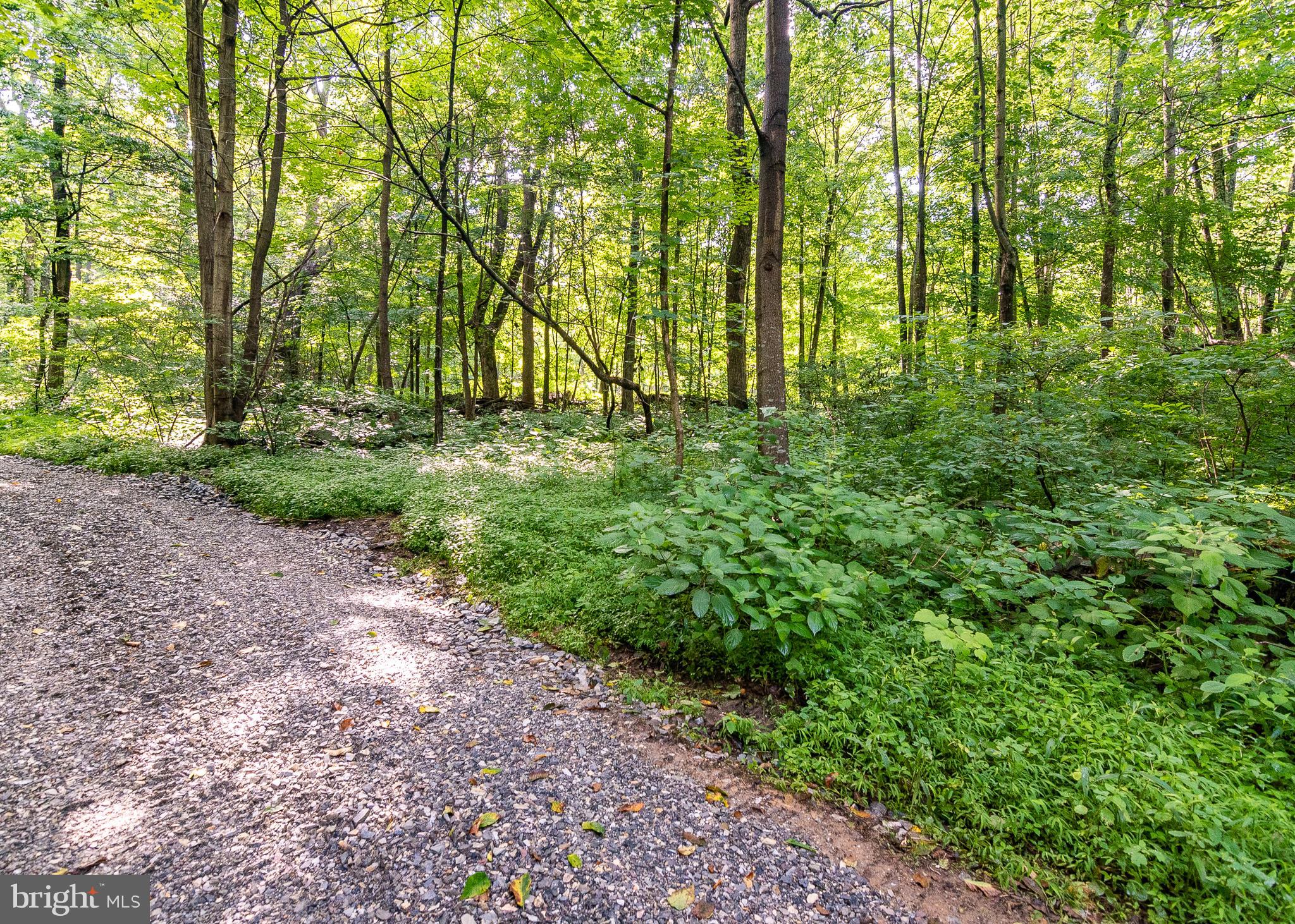 14510 Ridenour Road Smithsburg, MD 21783 - Photo 6 of 13