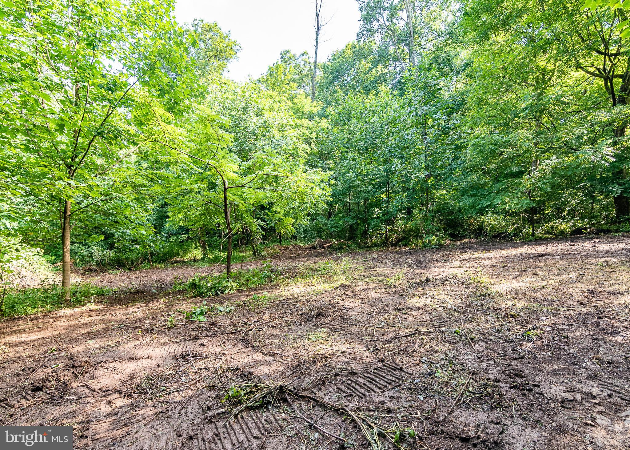 14510 Ridenour Road Smithsburg, MD 21783 - Photo 8 of 13