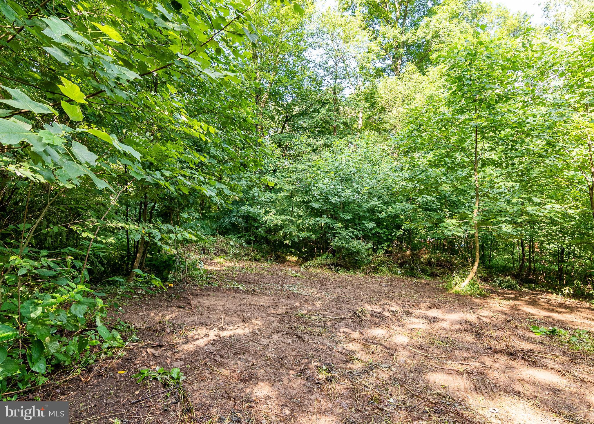 14510 Ridenour Road Smithsburg, MD 21783 - Photo 9 of 13