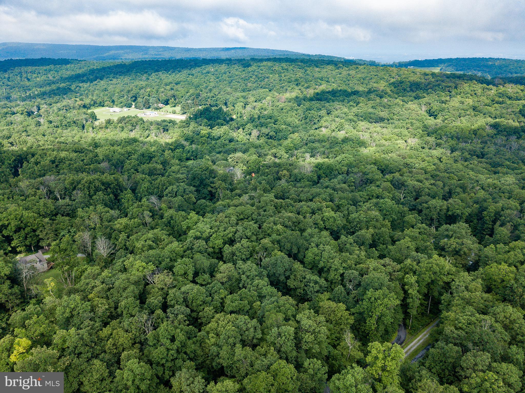 14510 Ridenour Road Smithsburg, MD 21783 - Photo 10 of 13