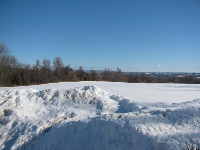 391 Currytown Road Root, NY 12166 - Photo 7 of 14 Photo 7