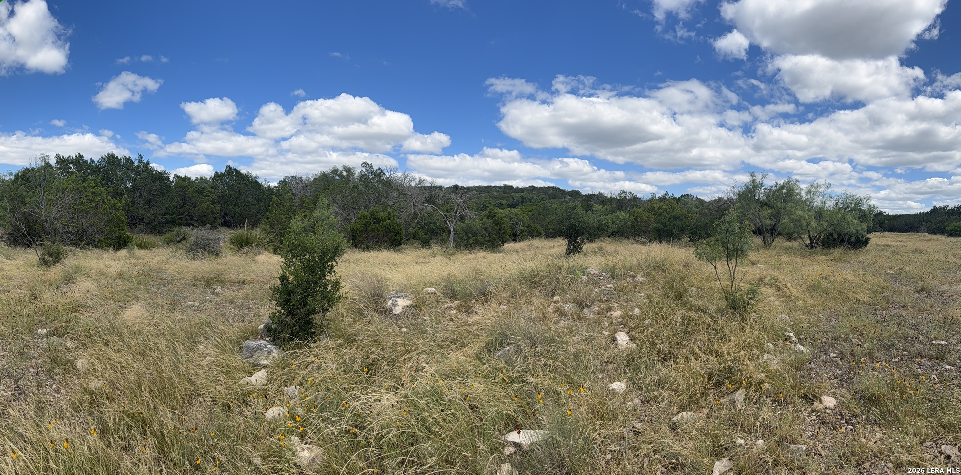 195 SD 45190 Rocksprings, TX 78880 - Photo 46 of 48