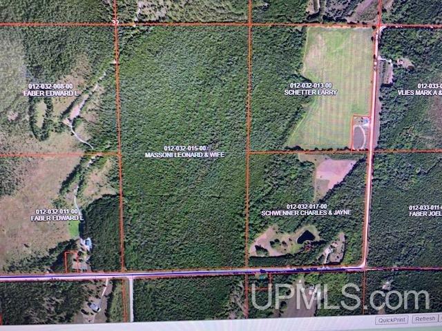 Tbd Tbd Oakwood Road Daggett, MI 49821 - Photo 1 of 1 Gallery Image 1