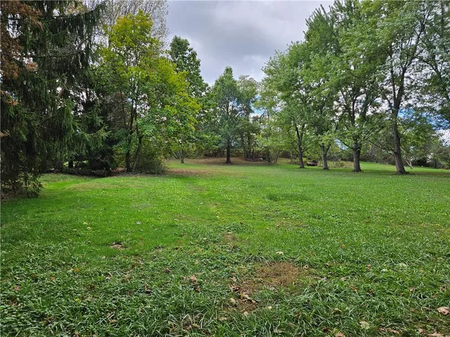 a view of a field with trees in the background