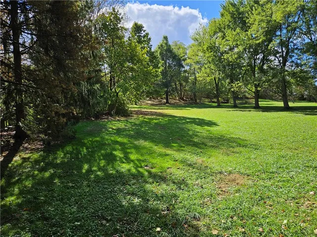 a view of a yard with an trees