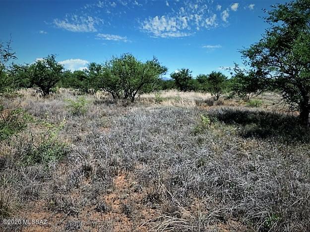 16005 West Ranger Road, Unit 171 Arivaca, AZ 85601 - Photo 5 of 17