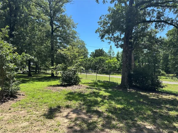 a view of a park with a tree