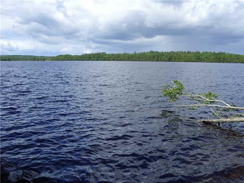 Lot64-65 West Lot64-65 W Shore Road Milo, ME 04463 - Photo 4 of 5 View.