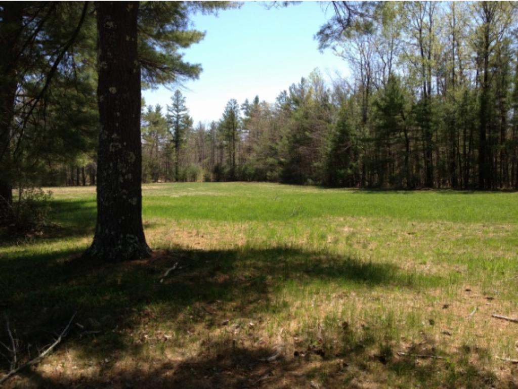 125 Tolend Road Barrington, NH 03825 - Photo 1 of 7