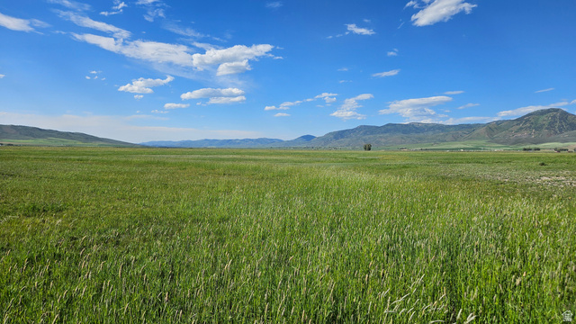 950 Bern Road Bern, ID 83220 - Photo 2 of 60