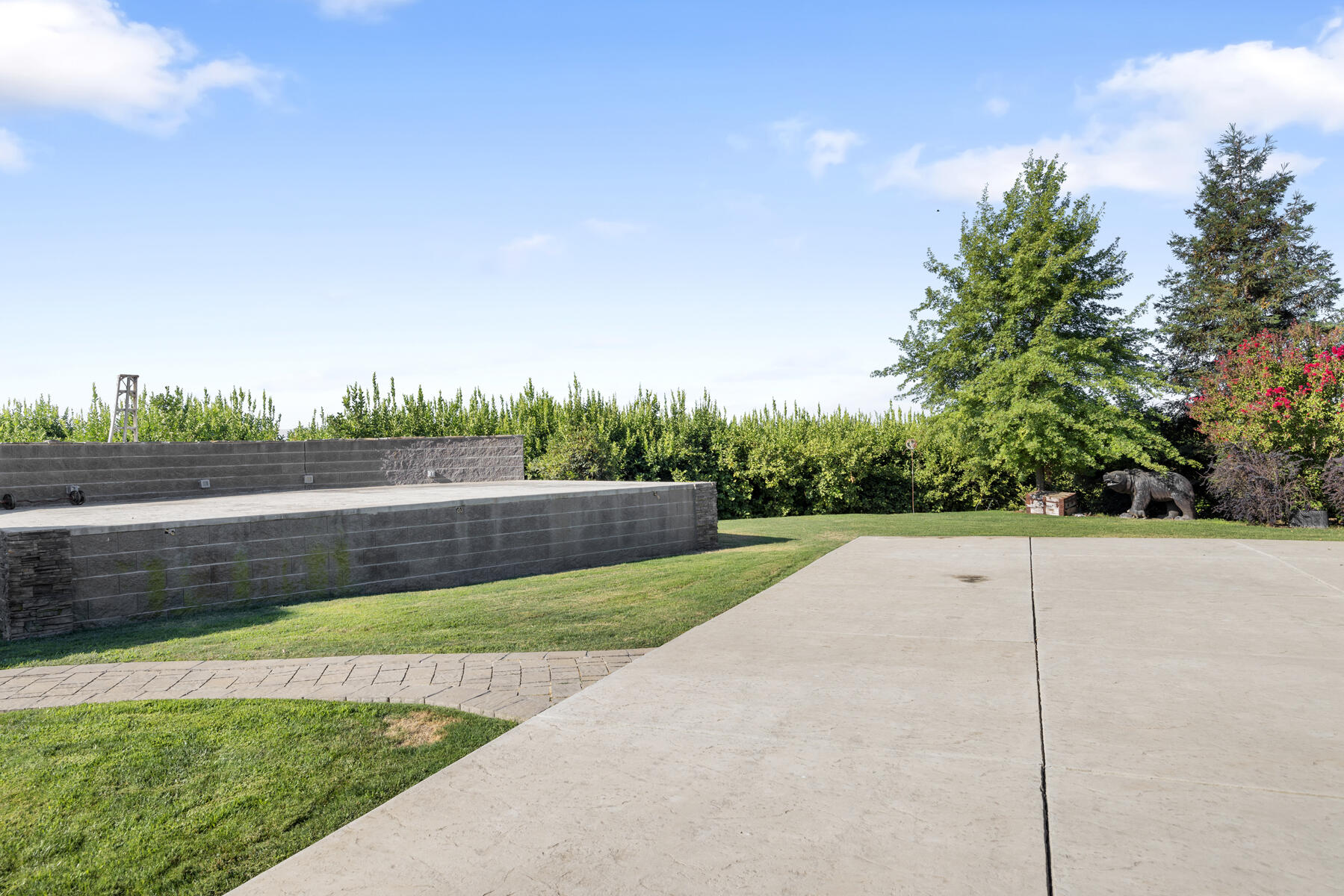 21031 Road 256 Strathmore, CA 93267 - Photo 46 of 55 56 - Back of Property
