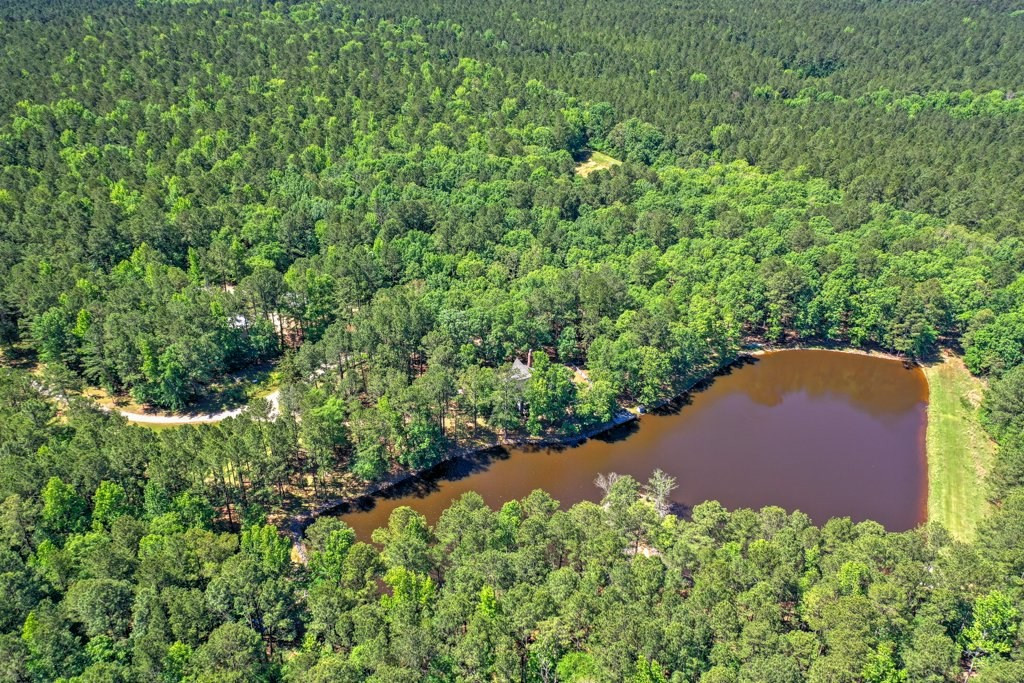191 North Martintown Road Edgefield, SC 29824 - Photo 68 of 75 an aerial view of residential house with outdoor space and trees all around
