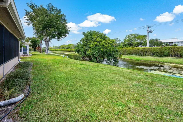 a view of a park with large trees