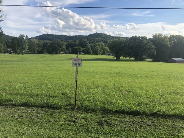 0 Buck Daniels Road Culleoka, TN 38451 - Photo 1 of 2 a view of a field with a tree in the background