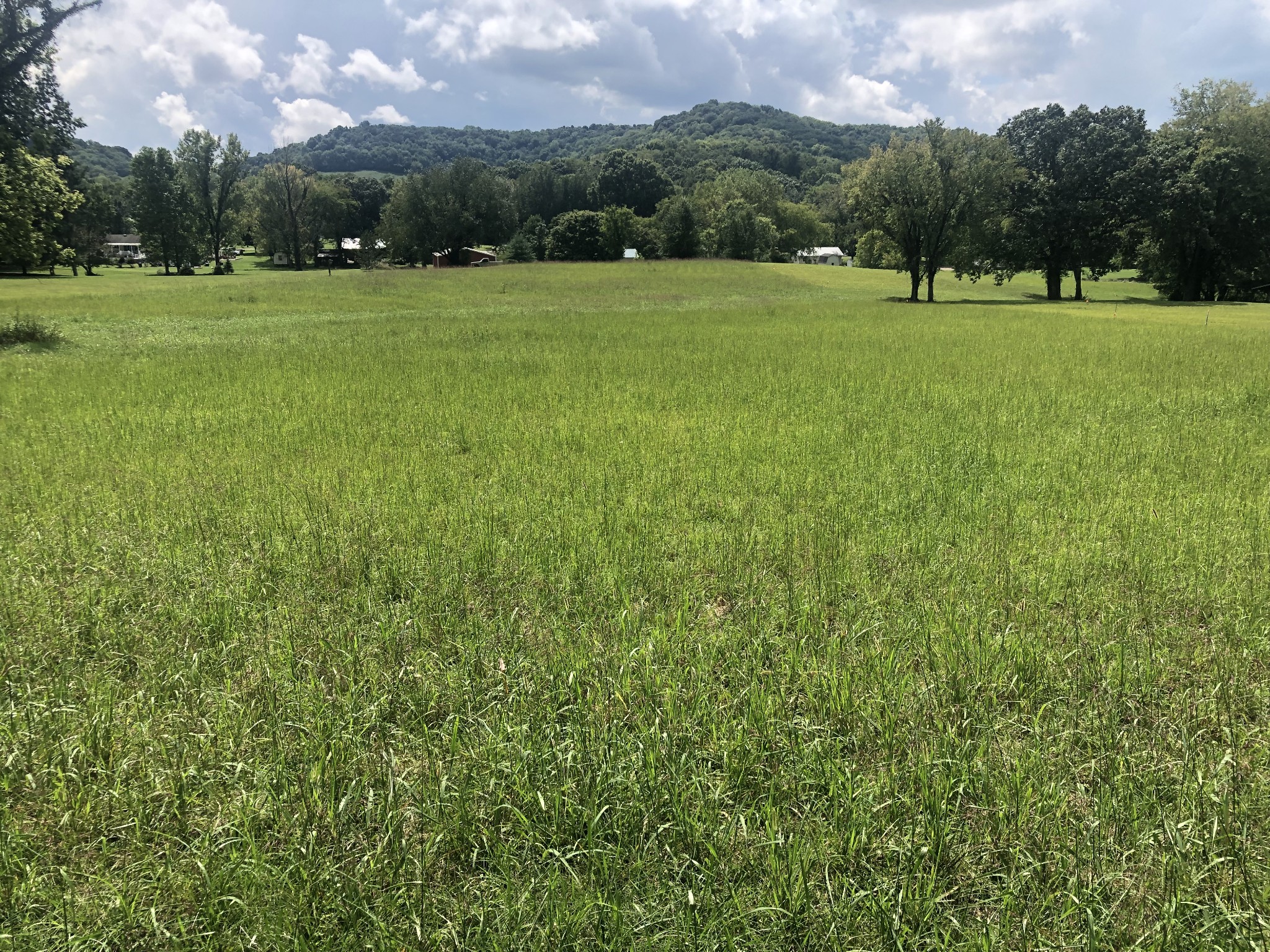 0 Buck Daniels Road Culleoka, TN 38451 - Photo 2 of 2 a view of a green field with wooden fence