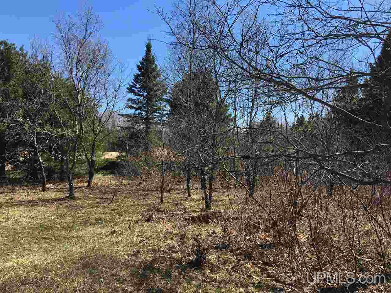 Tbd Chapel Road Munising, MI 49862 - Photo 30 of 36