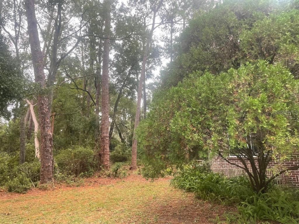 635 Northeast 9th Avenue Gainesville, FL 32601 - Photo 16 of 28