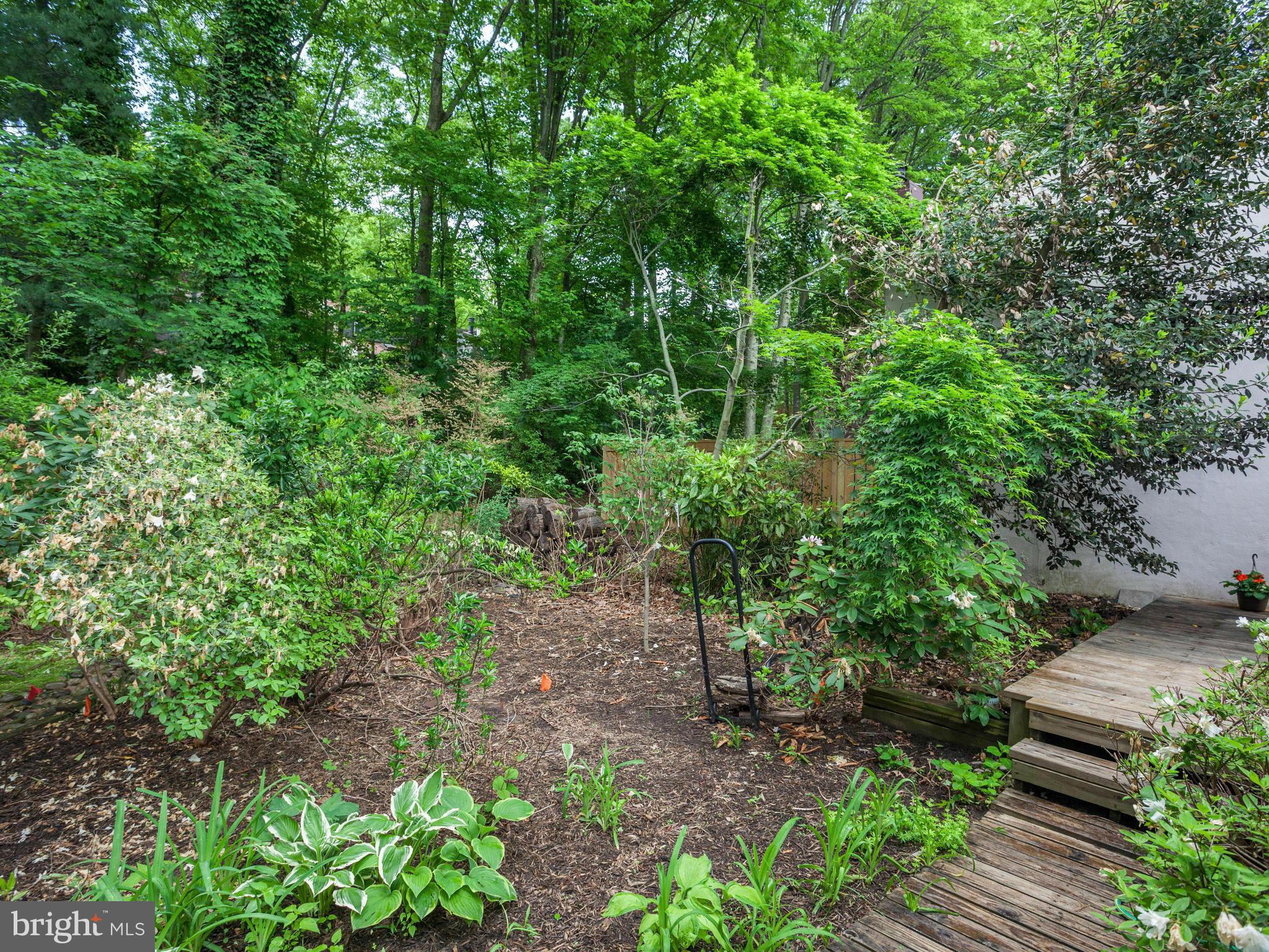 2357 Glade Bank Way Reston, VA 20191 - Photo 28 of 30 a view of a garden with plants and large trees