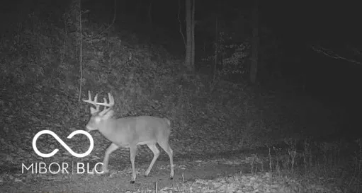 $1,100,000 | 0 Legendary Drive, Martinsville, IN 46151