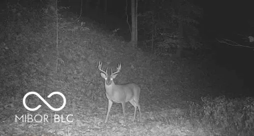 $1,100,000 | 0 Legendary Drive, Martinsville, IN 46151