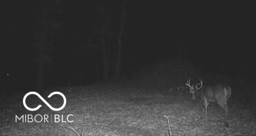 $1,100,000 | 0 Legendary Drive, Martinsville, IN 46151