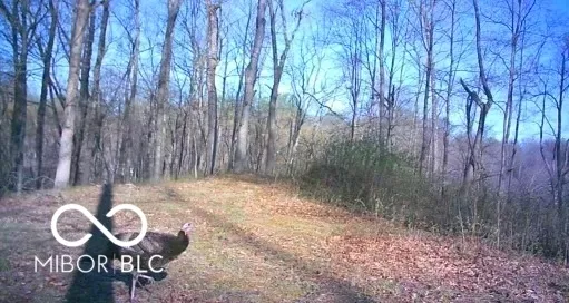 $1,100,000 | 0 Legendary Drive, Martinsville, IN 46151