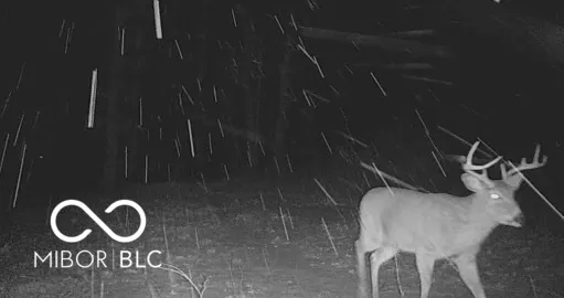 $1,100,000 | 0 Legendary Drive, Martinsville, IN 46151